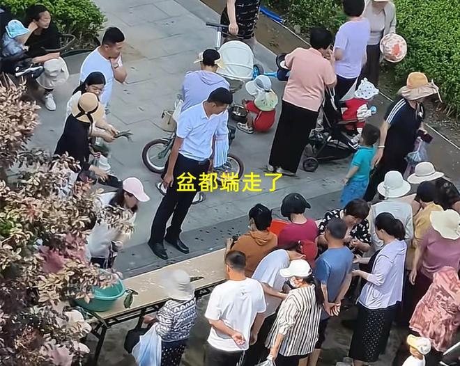 子大妈连盆都端走了还围堵物业要鸡蛋ky开元棋牌山东：小区端午免费包粽(图3)