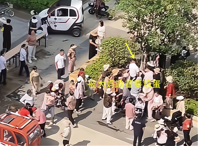 子大妈连盆都端走了还围堵物业要鸡蛋ky开元棋牌山东：小区端午免费包粽(图5)